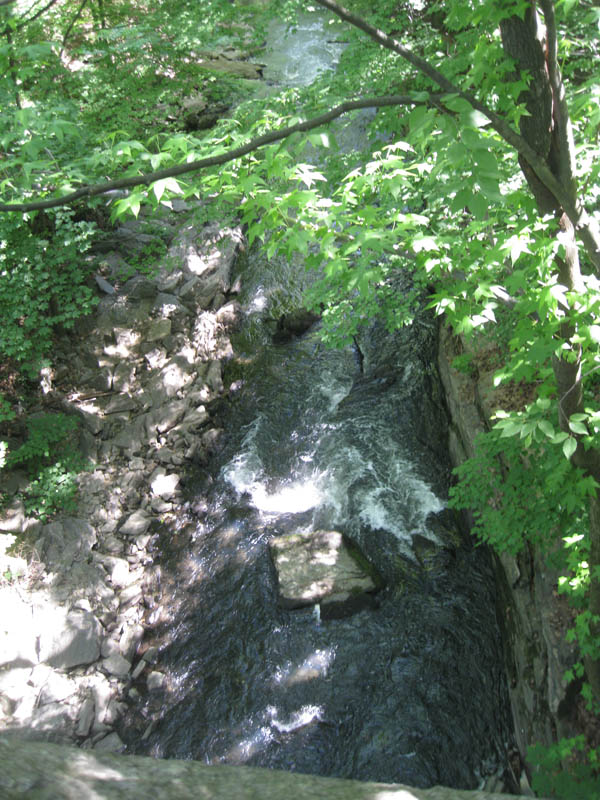 Bronx River deep below us