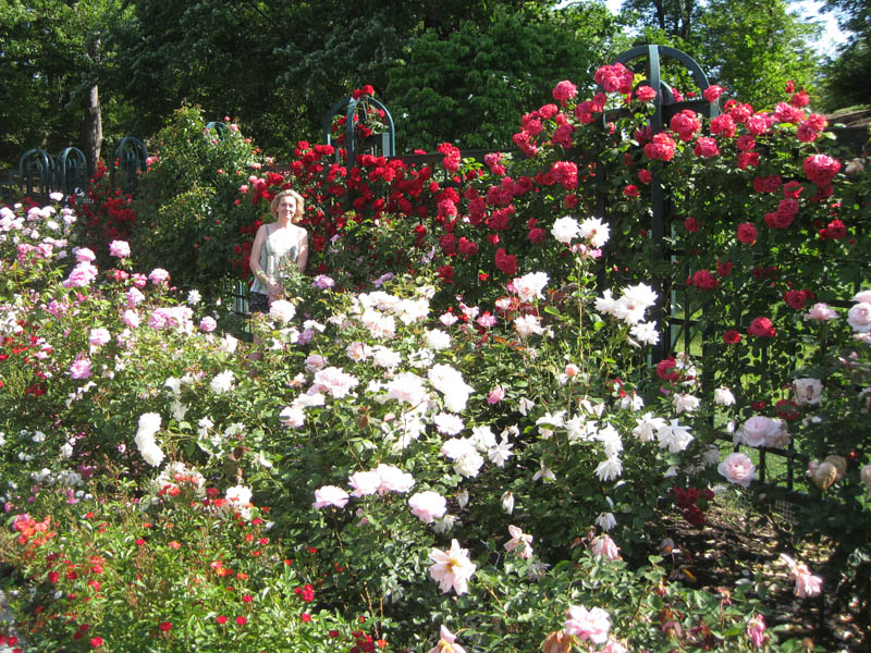 The Rose Garden picture 24158