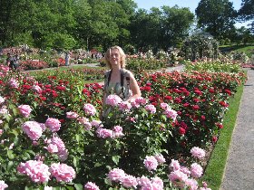 The Rose Garden (May 2010) The Rose Garden (May 2010)