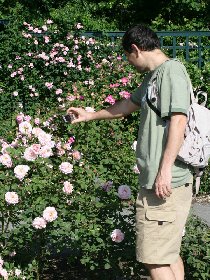 The Rose Garden (May 2010) The Rose Garden (May 2010)