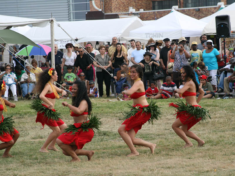 I don't believe that traditional Polynesian dancers wore bras