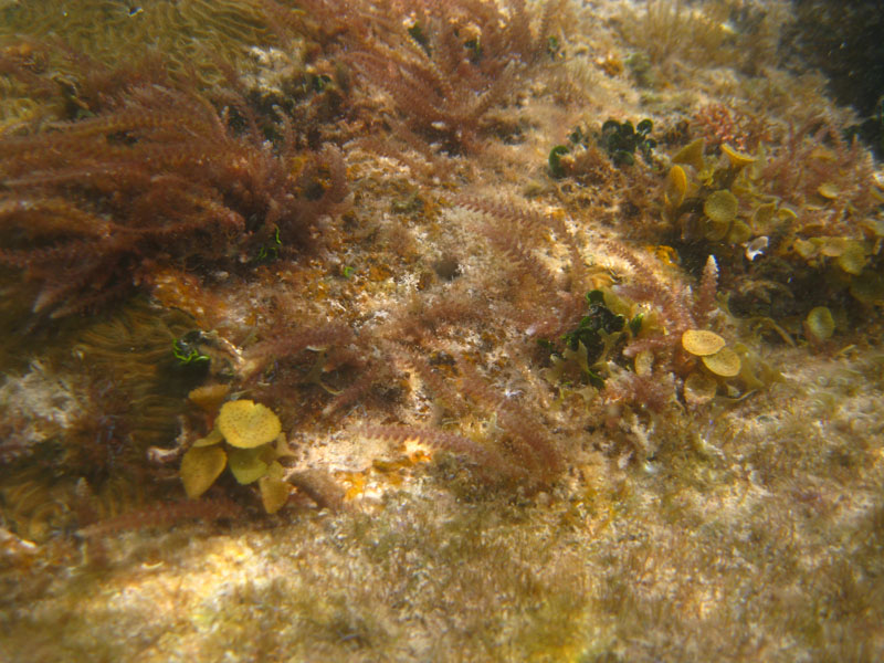 Red Beach picture 25167