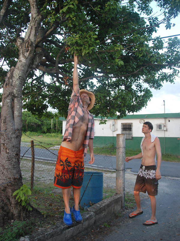 Old pier - jumping and snorkeling picture 25248