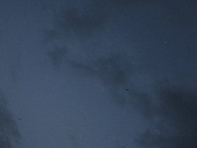 At dawn, many frigate-birds flew over us (July 2010) At dawn, many frigate-birds flew over us (July 2010)