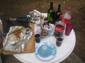 Day 11 - barbecue (July 2010) Day 11 - barbecue (July 2010)