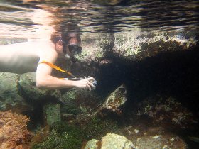 Mosquito Pier (August 2010) Mosquito Pier (August 2010)
