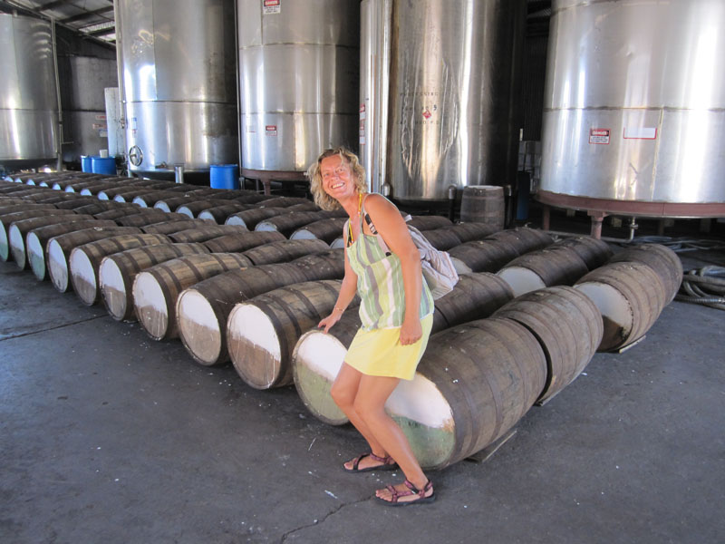 Empty barrels waiting for a rum refill