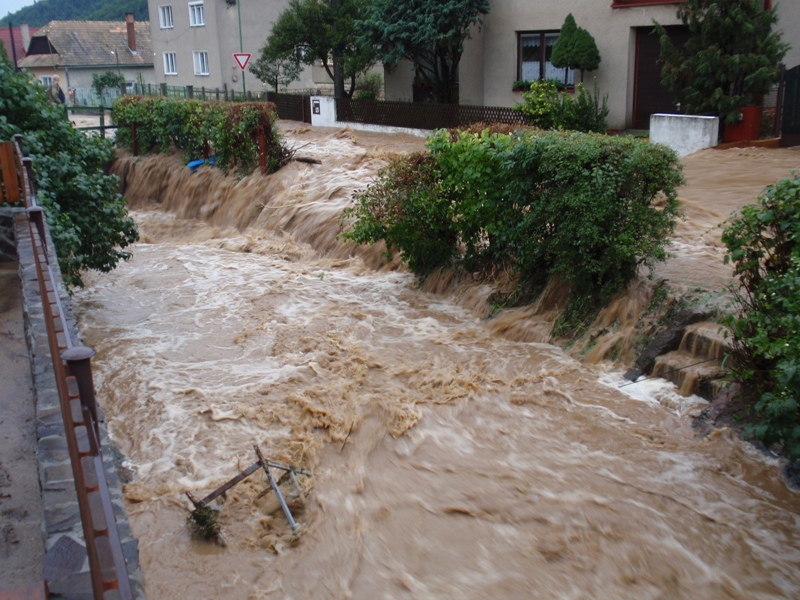 The flood - August 2010 picture 25272