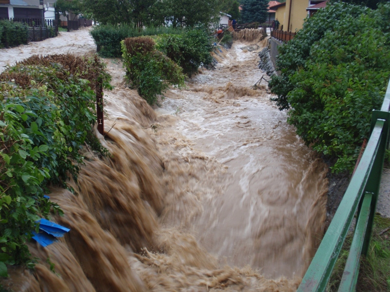 The flood - August 2010 picture 25274