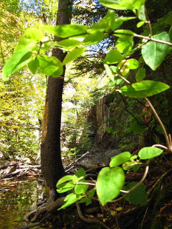 Vlet na Mount Chocorua obrzok 25734