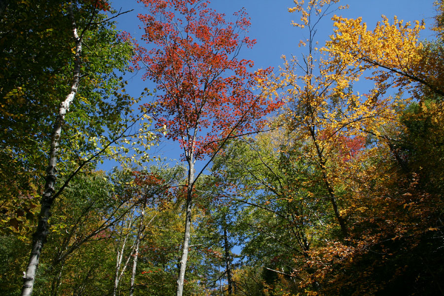 Hiking to Mount Chocorua picture 25703