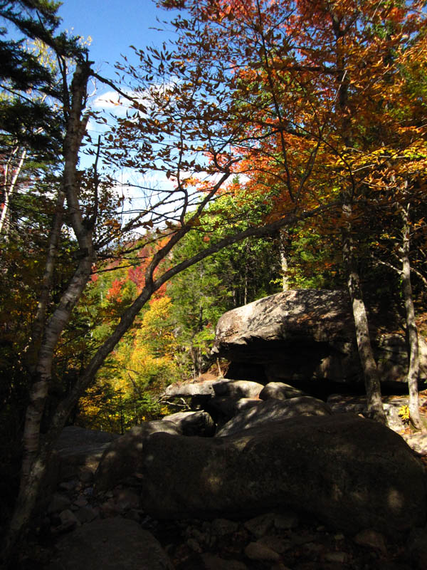 Hiking to Mount Chocorua picture 25737