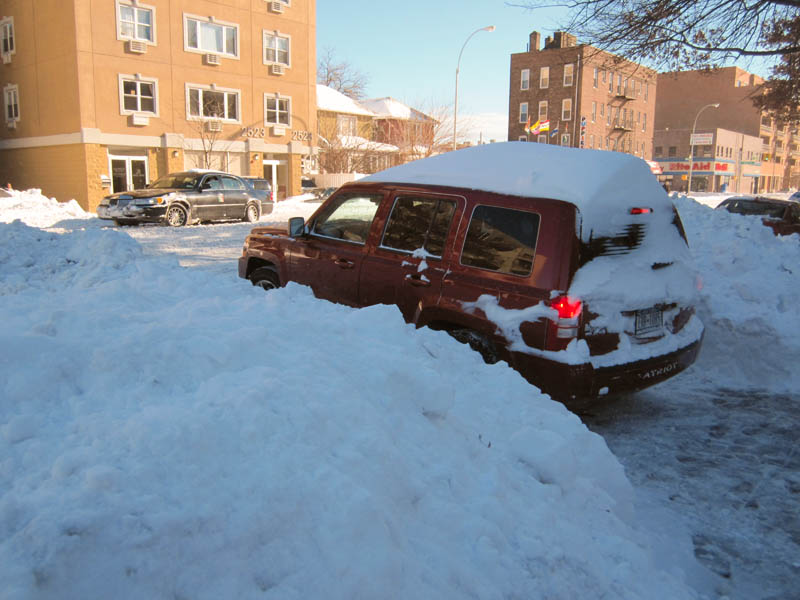 Blizzard 2010 picture 26227