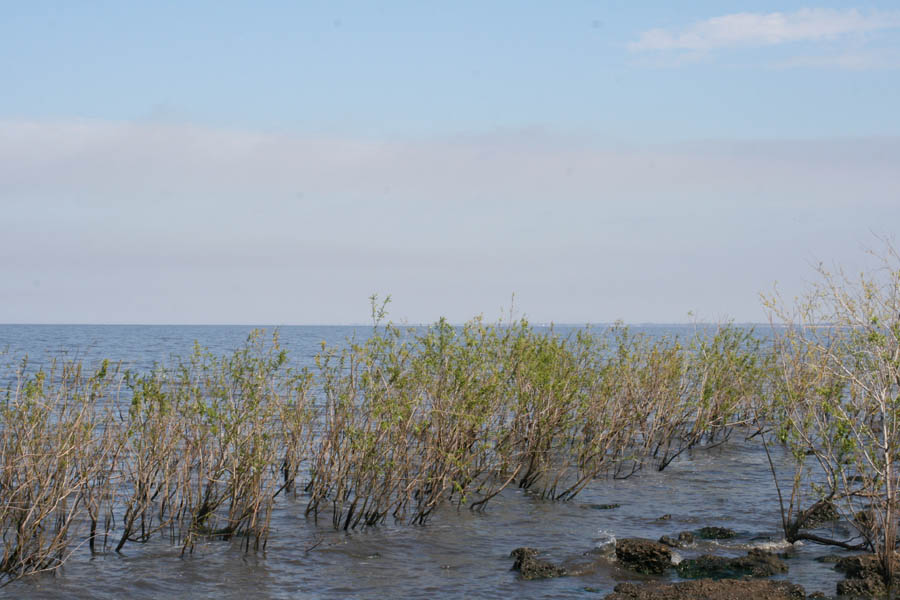 Lake Okeechobee