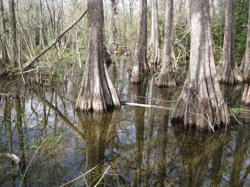 Kirby Storter Roadside Park picture 24554