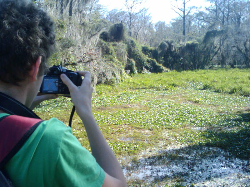 The photographer and the object - a wood stork ((mycteria americana)) in the distant corner