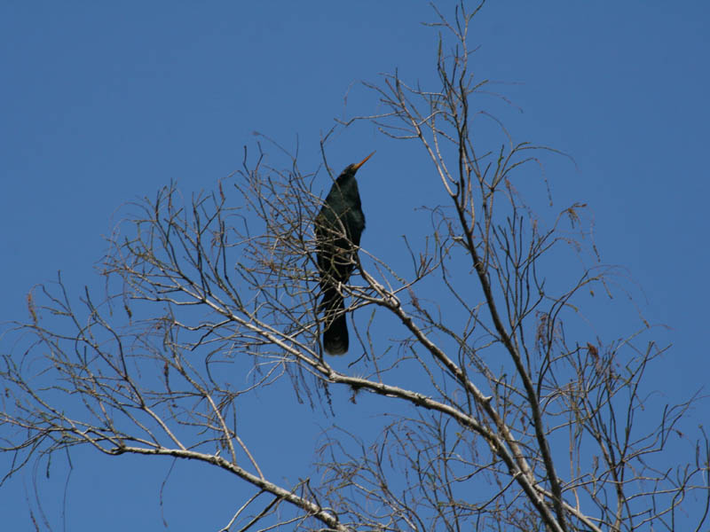 Kirby Storter Roadside Park picture 24572