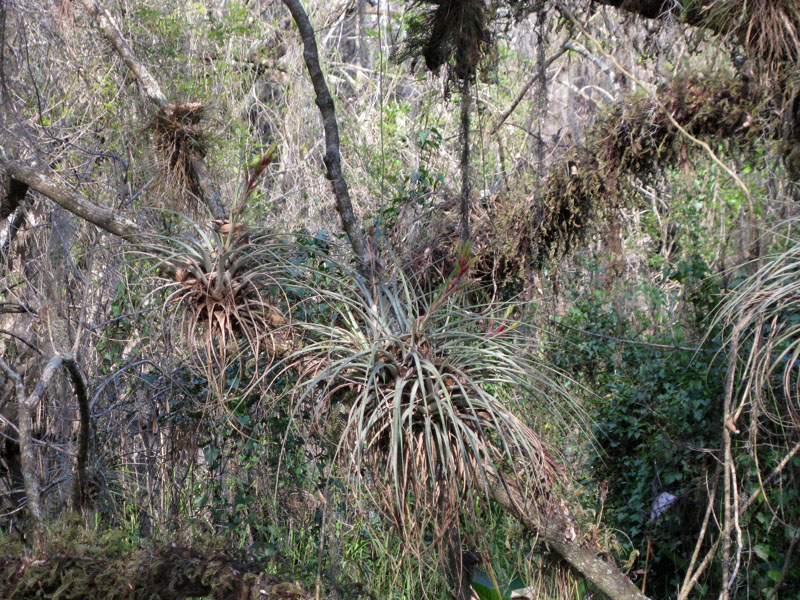 Kirby Storter Roadside Park picture 24576