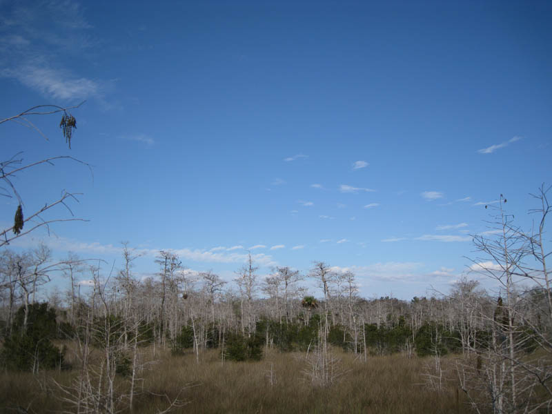 Kirby Storter Roadside Park picture 24582