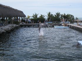 Dolphin Research Center (February 2010) Dolphin Research Center (February 2010)