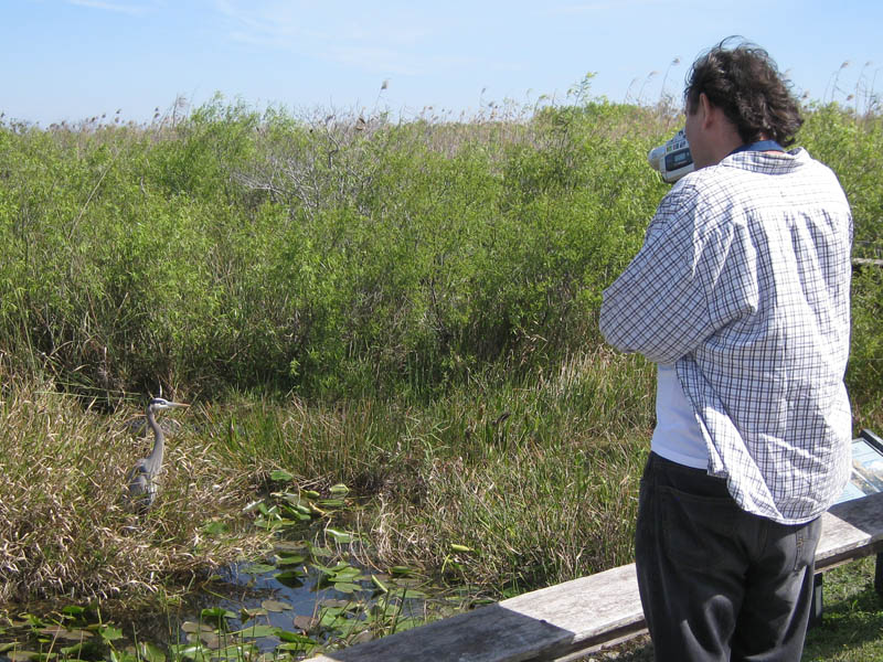 Cameraman and heron