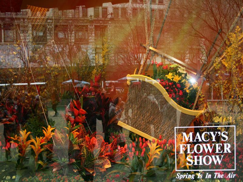 Macy's Flower Show 2010 picture 23806