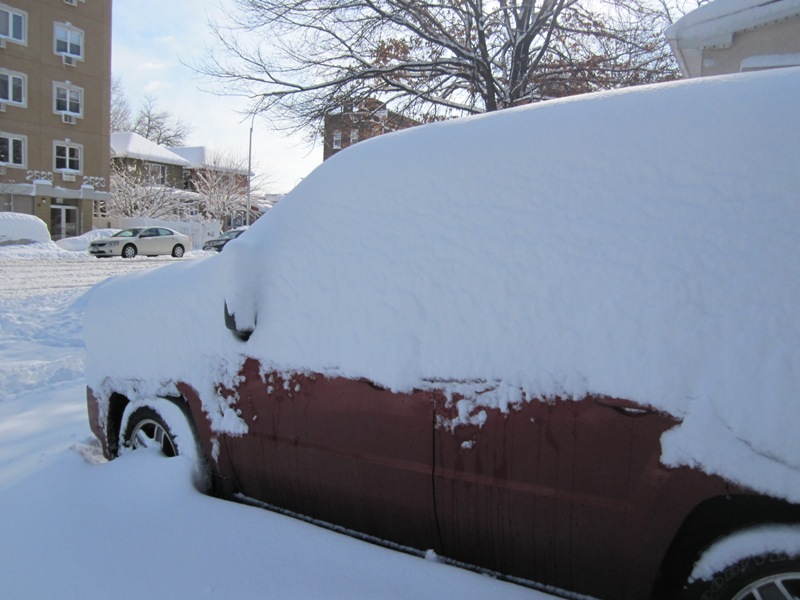 New York Blizzard 2011 picture 26409