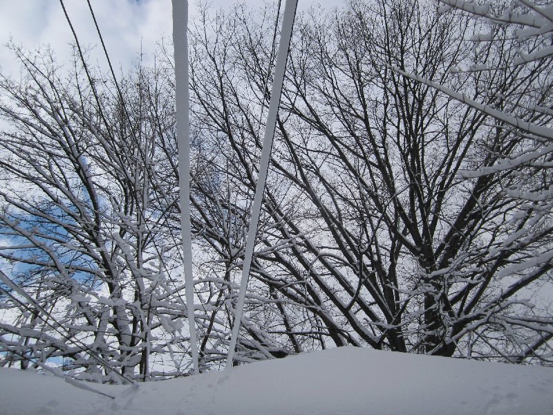 New York Blizzard 2011 picture 26418