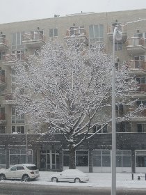 It started snowing on Wednesday (January 2011) It started snowing on Wednesday (January 2011)