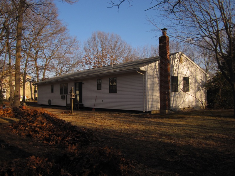 The house (March 2011)