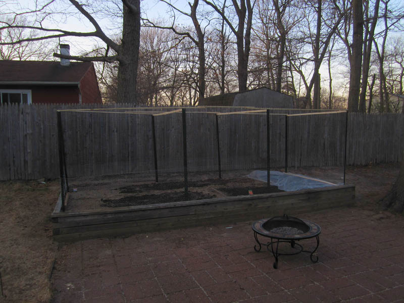 Hopefully the fence will help deter all the rabbits, squirrels, deers, and such