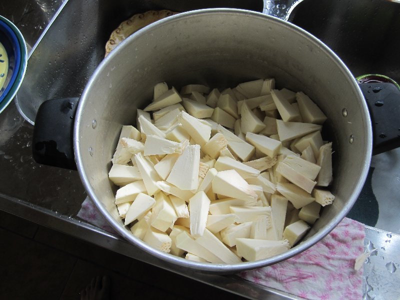 Day 11, breadfruit picture 27041