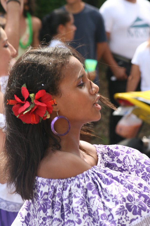 The carnival parade (July 2011)