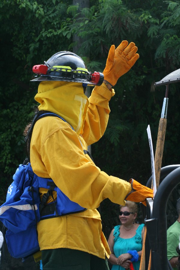 The carnival parade (July 2011)