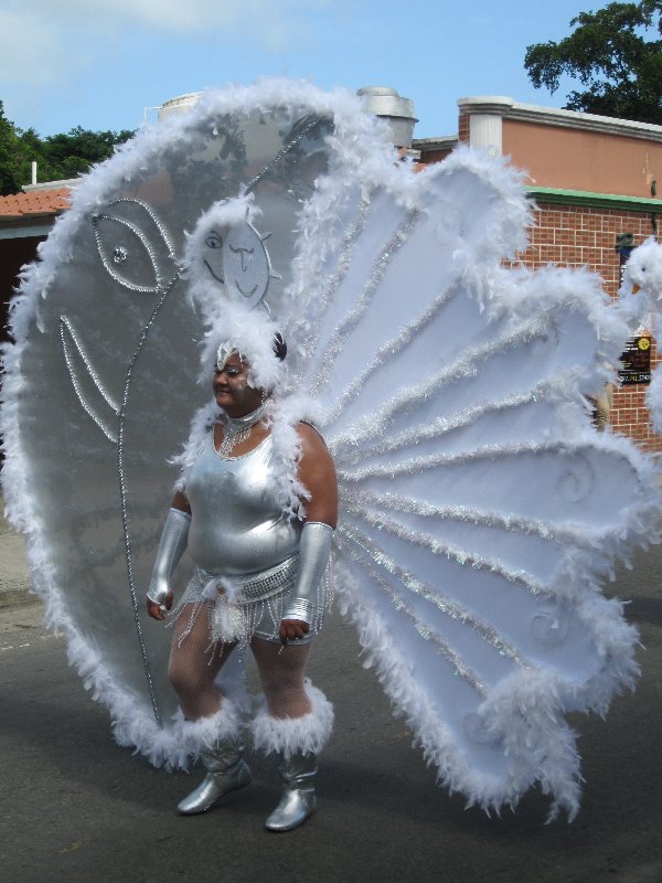 The carnival parade (July 2011)