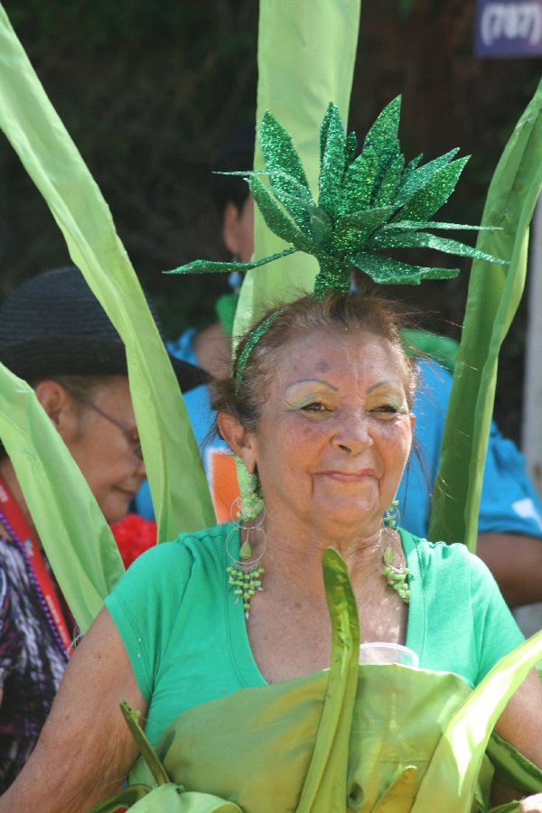 The carnival parade (July 2011)