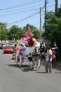 The carnival parade (July 2011) The carnival parade (July 2011)