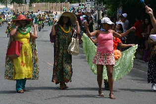 The carnival parade (July 2011) The carnival parade (July 2011)