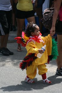 The carnival parade (July 2011) The carnival parade (July 2011)