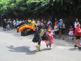 The carnival parade (July 2011) The carnival parade (July 2011)