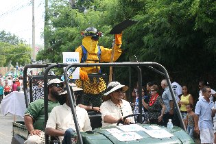 The carnival parade (July 2011) The carnival parade (July 2011)