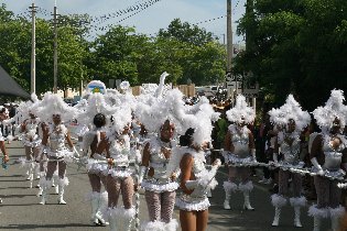The carnival parade (July 2011) The carnival parade (July 2011)