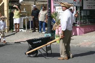The carnival parade (July 2011) The carnival parade (July 2011)