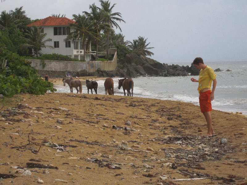 La Chata Beach (July 2011)