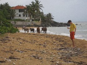 La Chata Beach (July 2011) La Chata Beach (July 2011)