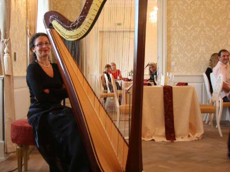 Harpist Katarna Turnerov