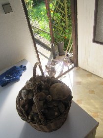 Libor yet again brought basket full of mushrooms (August 2011) Libor yet again brought basket full of mushrooms (August 2011)
