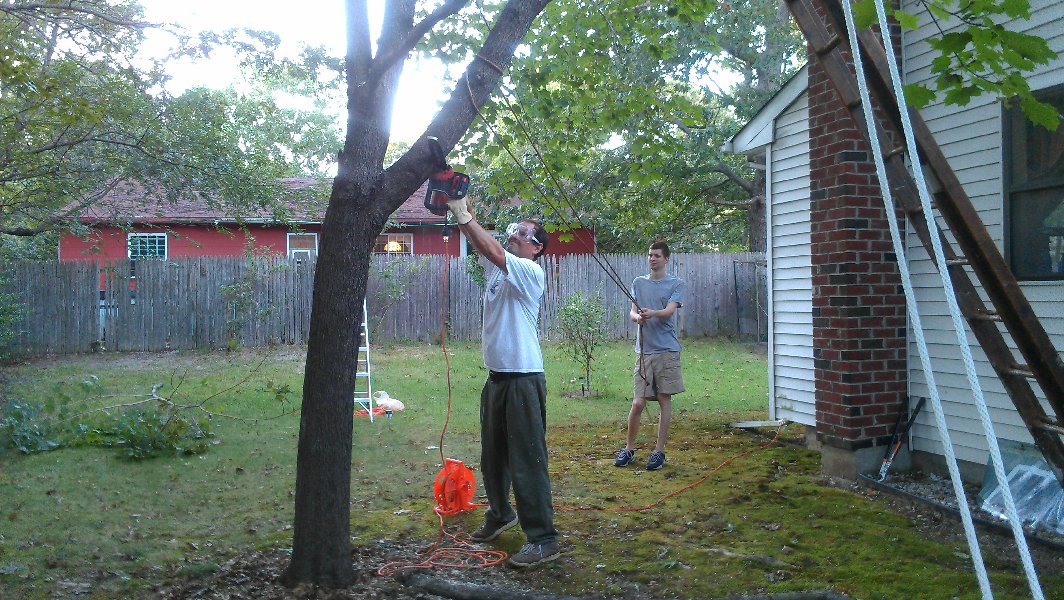 How we sawed a tree, part I picture 28045