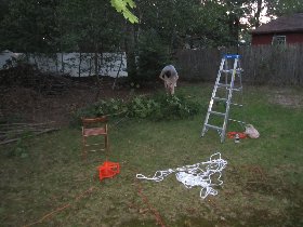 Tomáš cleaned the branches (September 2011) Tomáš cleaned the branches (September 2011)