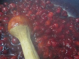 Cranberries (November 2011) Cranberries (November 2011)